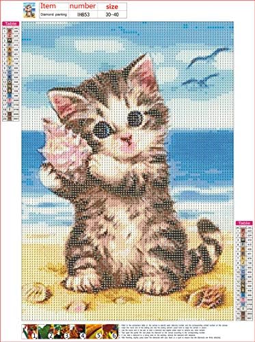 דמוי DIY 5D חתול וציור יהלום של צדף על ידי ערכת מספר למבוגרים, מקדחה מלאה חתול מלא וציורי רקמה יהלומים תמונות