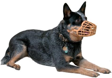 פלוגת בעלי החיים Baskerville Dog Muue, מידה 9, מתאימה לרועה הגרמני של דוברמן.