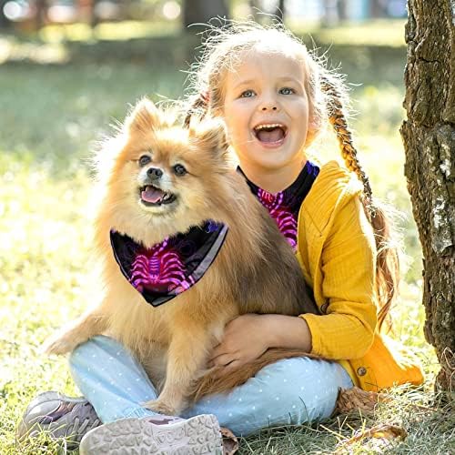 2 חבילה כלב בנדנה ניאון הורוסקופ מעגל ילדה ילד חיית מחמד חיית מחמד אביזרים של כלב צעיף קרכיאף אביזרי