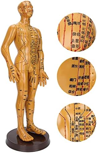 דיקור דגם, גוף דיקור דגם זכר אדם גוף דיקור דגם נחושת בצבע דגם אדם גוף דגם, לחץ נקודת המרידיאנים זכר