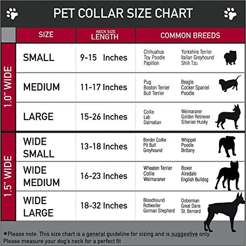כלב צווארון חגורת בטיחות אבזם 100 דולר ביל סדרת 2009 חוזר 18 כדי 32 סנטימטרים 1.5 אינץ רחב