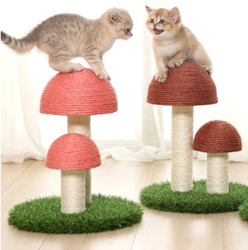 גרט קקטוס לחיות מחמד חתול עץ צעצוע עם כדור גרוד חתול חתלתול טיפוס פטריות הדירה