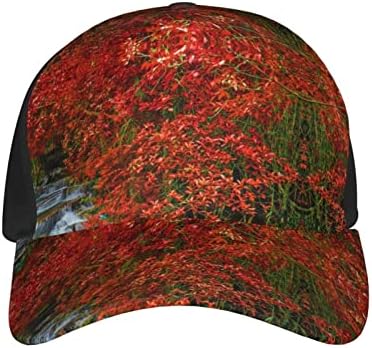 מפל סתיו נוף מודפס בייסבול כובע, מתכוונן אבא כובע, מתאים לכל מזג האוויר ריצה ופעילויות חוצות שחור
