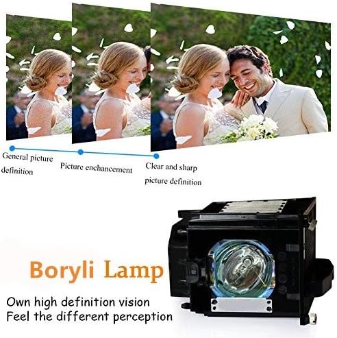 Boryli 915P049010 מנורה להחלפה עם דיור לטלוויזיה WD-52631, WD-57731, WD-65731, WD-65732