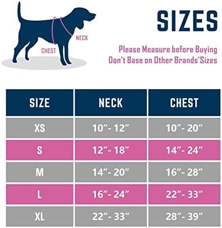 פיפט 2019 משודרג לא למשוך כלב רתם, 3 מ ' רעיוני מתכוונן אפוד, עם אימון ידית + 2 מתכת רצועה ווים + 3 הצמד אבזמים