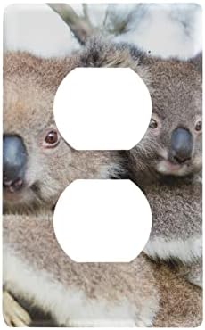 Yyzzh אוסטרליה קואלה דוב קואלה ואמא מתג מתג מתג כיסוי צלחת 2.9 x 4.6 שקע אור קיר קיר כיסוי קיר כיסוי