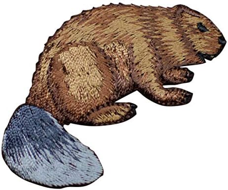 Beaver ברזל על תיקון אפליקציות - תג מכרסמים ליליים 2.5 - לכובעים, חולצות, נעליים, ג'ינס, תיקים, תפירה לקישוט