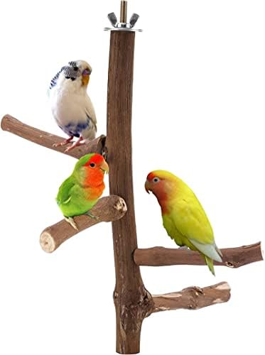 QBomb Bird Parch Stand Stand סט -ענף ציפורי עץ טבעי ענף, אביזרי מוטות ענף לניתוחים, קוקטיידי חיות מחמד,