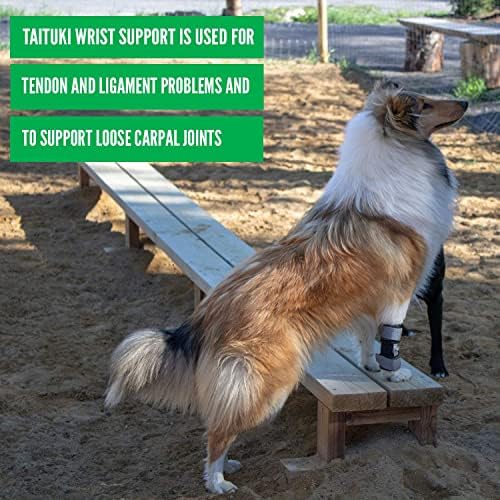 טייטוקי כלב יד סד קדמי רגל לכלבים משותף תמיכה כלב דלקת פרקים