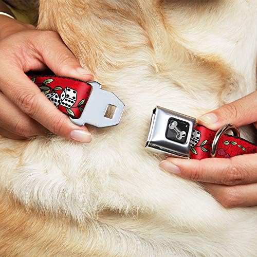 צווארון כלב אבזם חגורת בטיחות מזל אדום 16 עד 23 אינץ 'ברוחב 1.5 אינץ'