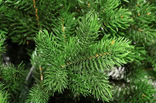 Evexmas Altair עץ חג המולד המלאכותי המסורתי 3ft / 90 סמ, 137 ענפים טיפים PE, כולל. דוכן דקורטיבי