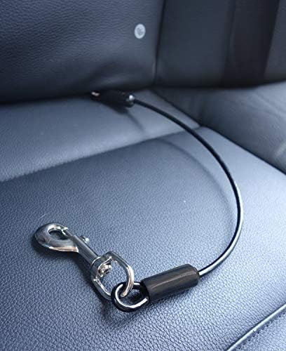חגורת בטיחות חסינת לעיסה בגודל 31 אינץ ' לחיות מחמד וקערת נסיעות ללא התזה מסיליקון לנסיעות