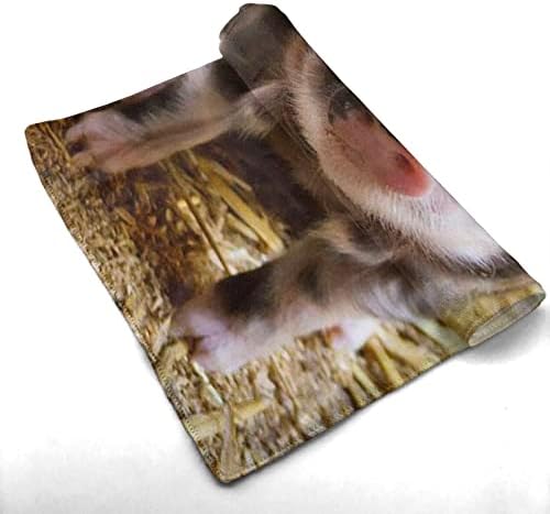 מגבת חזיר חמודה מגבת מיקרופייבר מגבת אורחת קישוטי אמבטיה ביתיים מגבת האצבעות עם ספיגה גבוהה