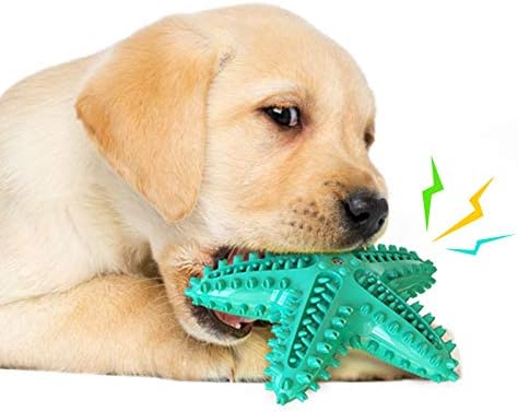 NC 2021 צעצוע חדש של כלב עמיד בפיצוץ, עמיד לנשיכה, עמיד בלאי, צעצוע של כוכבי ים ווקאלי, שיניים נקייה,