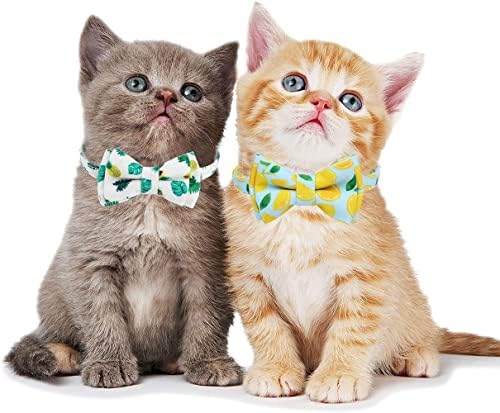 בניבול 2-חבילה הבדלני חתול קולרים עם נשלף שכבה כפולה עניבת פרפר ופעמון, עבור ילד וילדה חתול בטיחות קולרים