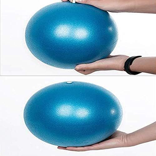כדור אימונים מיני בגודל 9.8 אינץ ', לכדור אימון קטן ליוגה, פילאטיס, פיזיותרפיה, מתיחות וכושר ליבה, אימוני איזון