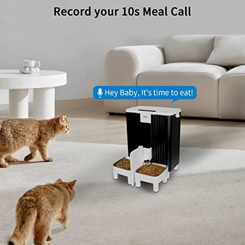 מזין חתולים אוטומטי מתוזמן: מתקן מזון יבש 6 ליטר לכלבים קטנים ובינוניים גדולים-מזין חיות מחמד