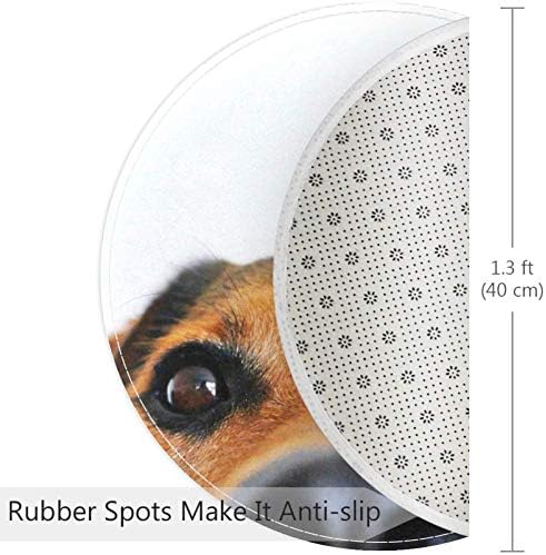 Heoeh ראש כלב מצחיק מקסים, לא שפשפת שטיחי שטיחים שטיחי שטיחים בגודל 15.7 אינץ '.