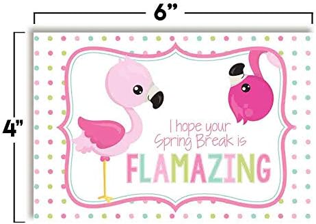 אני מקווה שחופשת האביב שלך מדהימה גלויות ריקות בנושא פלמינגו חמודות למורים לשלוח לתלמידים, 4
