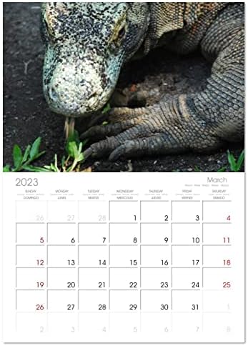 הקסם של לטאות), לוח השנה החודשי של קלוונדו 2023
