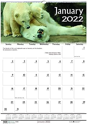 בית הדוליטל 2022 לוח השנה הקיר החודשי, חיות הבר של AdviseDscapes, 15.5 x 22 אינץ ', ינואר - דצמבר,