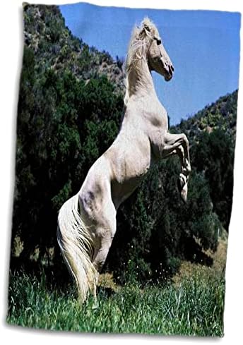 חיות פלורן 3 של פלורן - סוס פלומינו מלכותי - מגבות