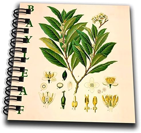 3drose Bay Leaf Art Art - דפסת צמח העשבים עץ עץ. - ציור ספרים