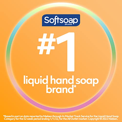 סבון רך אנטיבקטריאלי נוזל יד סבון, עדין נקי, נוצץ אגס ריח יד סבון, 11.25 אונקיה, 6 חבילה